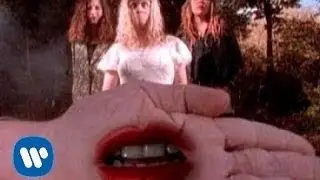 Babes In Toyland - Won't Tell (Video)
