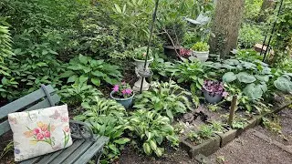 Brightening a Shade Garden on a Budget