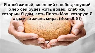 Проповедь.    Я хлеб живый, сшедший с небес; ядущий хлеб сей будет жить вовек... (Иоан.