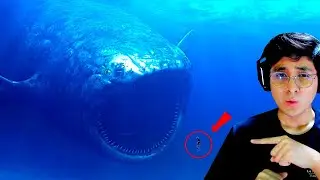 INCREIBLES IMAGENES DE THE BLOOP CAPTADOS EN CAMARA | JehxTp