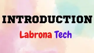 Introduction- Labrona Tech