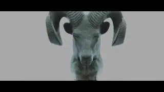 Code Green - Wild Wild West (Official Video)