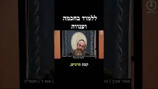 ללמוד בחכמה וענווה | הרב אדם סיני שליט