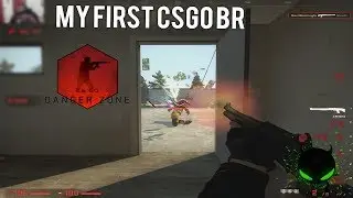 First CSGO BR game : The Danger Zone