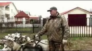 Битва Маламутов. Примирение.