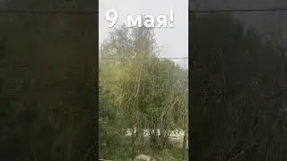 Холодный май 2024 года