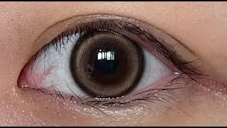 [렌즈미] 글로우벨 브라운 보정 없는 솔직 리뷰 / [LENSME] GLOWBELL BROWN COLOR CONTACT LENS REVIEW