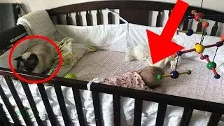 Was diese Katze mit dem Baby macht, wird dich sprachlos machen