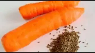 Универсальный МЕТОД ПОСЕВА СЕМЯН МОРКОВИ. Посадка моркови в клейстере