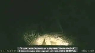 Покатушки На Chevrolet Trailblazer по квадротрассе