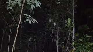 🔴 HANTU SERAM BIKIN KAGET