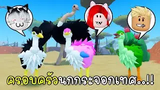 พี่ฝนพี่เอกปุ๊กปิ๊กเป็นครอบครัวนกกระจอกเทศ  🐥🐤🐣 Roblox Feather Family Ostrich