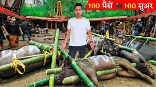 World’s Most EXPENSIVE and EXTREME Funeral | 100 Buffalo, 100 Pigs | TORAJA, INDONESIA 🇮🇩 (Hindi)