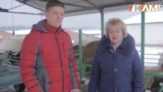 Новая ветеринарная стратегия. Вакцина Инфорс 3 для крупного рогатого скота. Отзывы