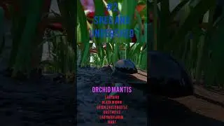 Ranking Grounded Biomes Based On Difficulty Pt2 #shorts #grounded