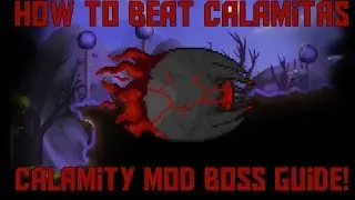 How to Beat Calamitas! -Calamity Expert Mode Boss Guide!