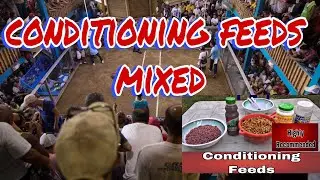 CONDITIONING MIXTURE BY DOC TEDDY