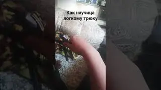 8 июня 2023 г.