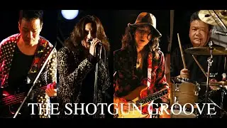 THE SHOTGUN GROOVE / 魅惑のアレキサンドライト