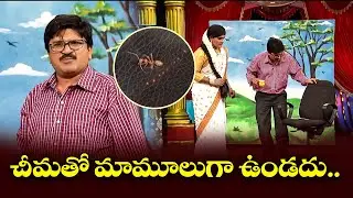 Jabardasth - Best Comedy Punches | Hyper Aadi, Rocking Rakesh, Adhire Abhi, Rocket Raghava | ETV