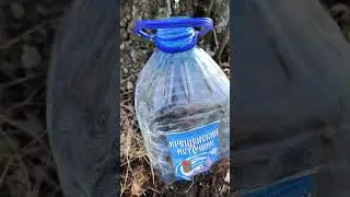Как правильно собирать берёзовый сок