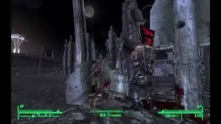 New Vegas Insanity