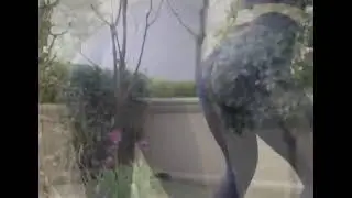 Fitness Model Warm up Before Workout