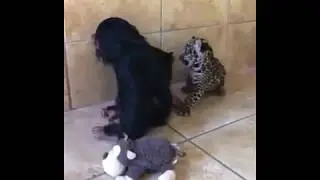 Умилительные детишки