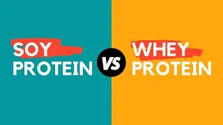 SOY vs WHEY Protein: Which Is Better and Why?