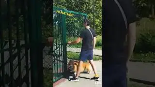 At the dog park... |hi nature short #shorts