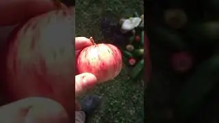 Хера:ем все об стенку