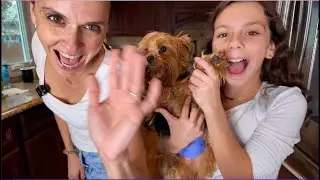 Francesca Learns Beyoncé's *DIVA* Dance | Our MOST VIRAL TIKTOK EVER!