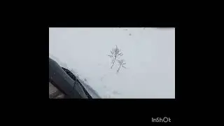 Проверка свежих слов.