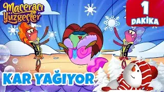 Maceracı Yüzgeçler ❄️🐠 | Kar Yağıyor!