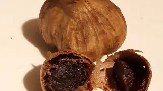 спасаем чеснок. черный чеснок, как сделать