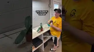 How to Prune & Fertilize an Orchid ✂️🥀