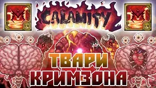 🔥Твари Кримзона🔥 [Terraria Calamity Infernum Mod] №5