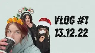 Бортнянка vlog #1