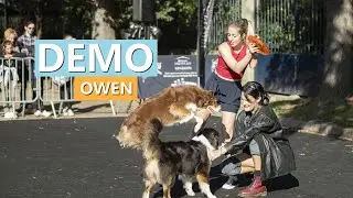 NOTRE DEMO DE DOG DANCING A PARIS !