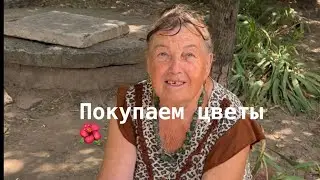 У бабушки цветы покупаем 🎁🤝🙏❤️