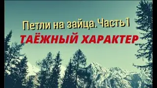 Петли на зайца.