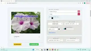 Add text to image - imageonline.co