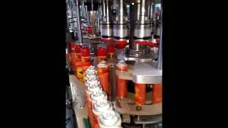 AEROSOL ROTARY TYPE CAP INSERTER