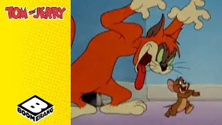 New Cat In Town | Tom and Jerry | @BoomerangUK