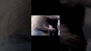 Gender reveal gone so wrong…