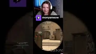МОНЯ НА РЕАКЦИИ (СКРИМЕРЫ) | monyameow с помощью #Twitch
