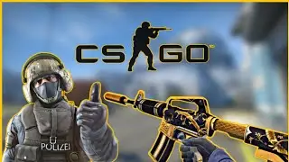 A Totally Normal CS:GO Video - Funny Moments