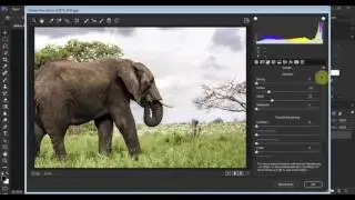 Bildoptimierungen mit Camera Raw als Smartfilter