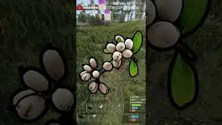 A new way to play rust!