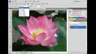 MAGIC WAND TOOL, Creating Selections in Photoshop CS-4 - Chapter 6